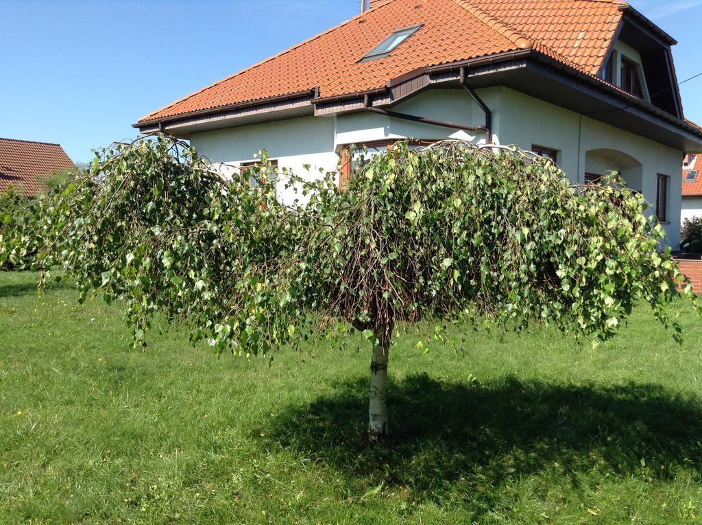 Willa Landhaus Mit Garten Szczecin Zewnętrze zdjęcie