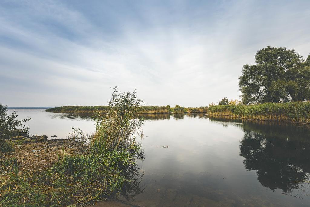 Willa Landhaus Mit Garten Szczecin Zewnętrze zdjęcie